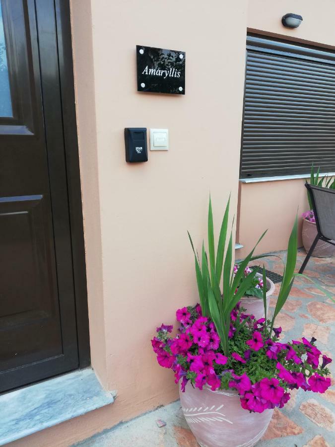 Dimitra - Loft Aparthotel Corfu (city)